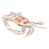 Crab Toy Educational Interesting Plastic Safe Vivid Shape Marine Biological Cognition Teaching