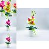 Realistic Handmade Pvc Orchid Arrangement For Indoor Decoration And Collectors