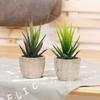 High Quality Artificial Succulent Bonsai Decorative 2 Colors Eco-friendly