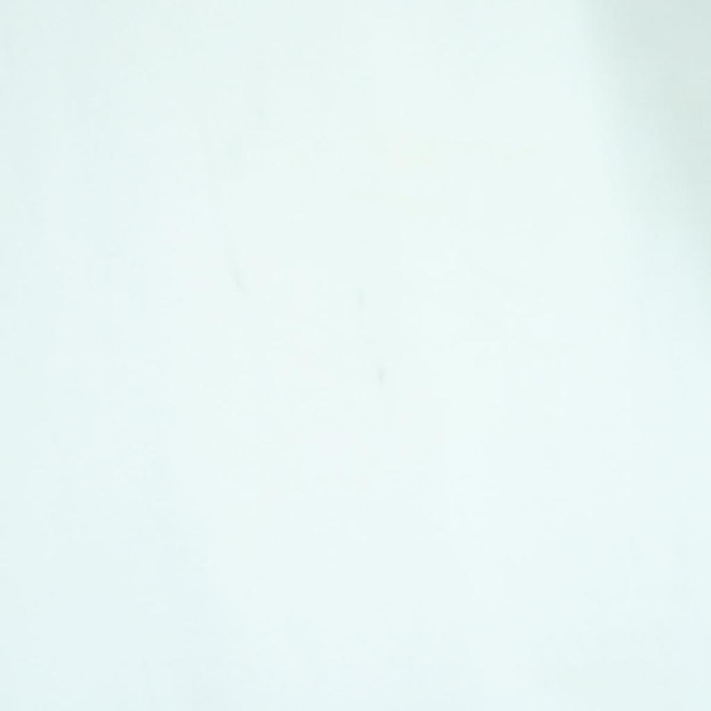 Adidas Футболка с коротким рукавом XO белая Мужская Б/у