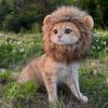 Забавная львиная грива для кошек и собак - Милая шляпа-костюм на Хэллоуин
