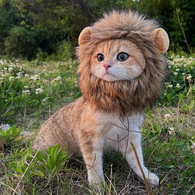 Забавная львиная грива для кошек и собак - Милая шляпа-костюм на Хэллоуин