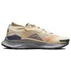 Nike Pegasus Trail 3 GTX Rattan Campfire Оранжевые мужские кроссовки Громово-синие частицы-серые DC8793-200