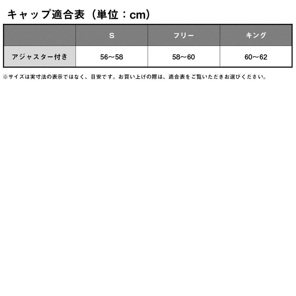 Cold Weather Hat Gray [DAIWA] 24DC-6224W