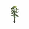 Decorative Plant DKD Home Decor Polypropylene (PP) EVA (90x90x200cm)