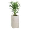 Donica Betonique Na Kółkach Beton Recykling Beż 30X30Xh60 Cm
