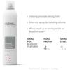 Spray pour cheveux - GOLDWELL - StyleSign - Tenue forte - 300 ml - Protection contre l'humidité