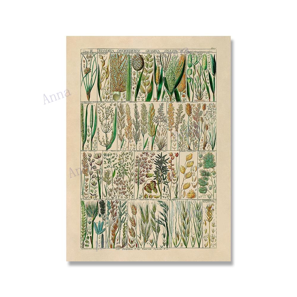 Adolphe Millot Encyclopedia Poster Fruit Botanical Mushrooms Herbs Flowers Canvas Paintings Print Vintage Wall Art Room Decor