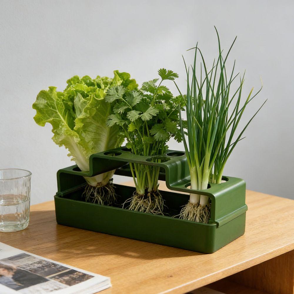 Ventilated Chives Seedling Tray Lettuce Soilless Cultivation Pot Water Cultivation Box Hydroponic