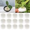 10/50pcs Hot sell Aquarium Planting Nursery Sponge  Flower Pots Soilless Hydroponic  Seed Trays