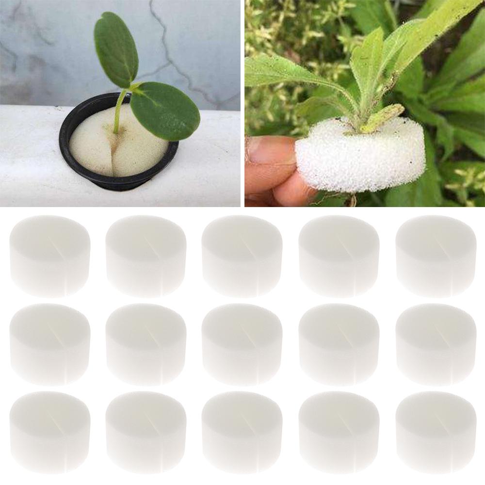 10/50pcs Hot sell Aquarium Planting Nursery Sponge  Flower Pots Soilless Hydroponic  Seed Trays