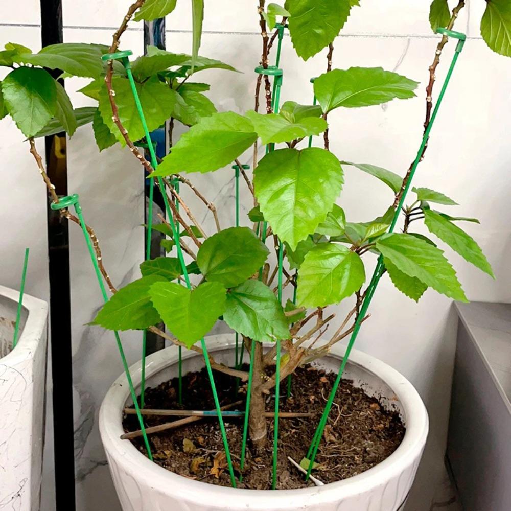 10PCS Reusable Climbing Plant Support Stakes Plastics Leaf Protection Frame For Indoor Outdoor