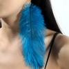 Ethnic Style Long Feather Earrings, Travel Photo Accessories, Stage Catwalk Performance Feather Accessories