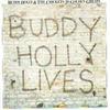 LP Пластинка BUDDY HOLLY & THE CRICKETS - 20 Золотых Хитов MCTV1 MCA Records 1978 UK Рок Б/У