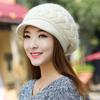 Winter Striper Knitted Cap Thicken Warm Thicken Knit Hat Fashion Women Beret Cap Women Girls