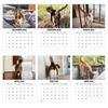 2026 Cat Buttholes Calendar 2026 Funny Cat 12 Monthly Wall Calendar Jan To Dec High-Definition Cat Photography