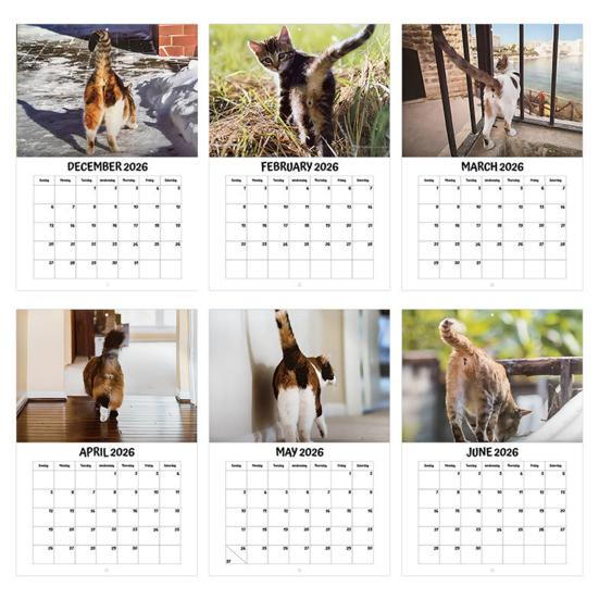 2026 Cat Buttholes Calendar 2026 Funny Cat 12 Monthly Wall Calendar Jan To Dec High-Definition Cat Photography