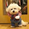 Halloween Dog Costumes Funny Pet Clothes Adjustable Dog Cosplay Costume Sets Novelty Clothing For Medium Large Dogs Bulldog Pug
