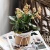Easy To Use Plant Pot Paper Rope Braided Woven Basket Braided Flower Pot  for Indoor Outdoor Plants