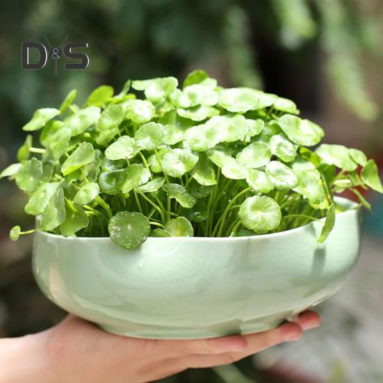 Кашпо для лотоса с большим отверстием, керамический цветочный горшок для лотоса, глазурованная чаша для золотых рыбок, чаша для бонсай, горшок для лотоса для гидропонных растений, нарцисс