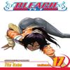 Bleach Vol. 17 by Tite Kubo Paperback Book 9781421510415