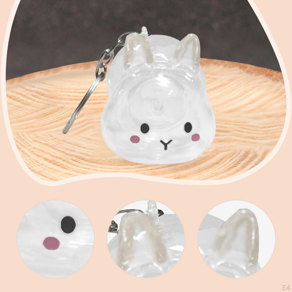 Collector Keyring for Pet Lovers Hair Holder Memorial Storage Box