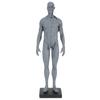 Resin Skeleton Human Body Muscle Model Lightweight for Sketch Drawing Teaching Researching