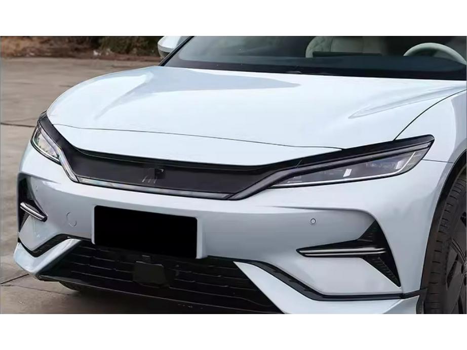 BYD 24 Song L-EV Отделка решетки радиатора, Накладка на зеркало, Электрический бокс, Ручка двери, Противотуманная фара