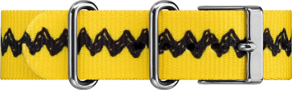 НОВЕЙШИЕ TW2R Charlie Brown Часы Charlie Brown (Новейшие) TIMEX×АРАХИС [Предмет]