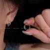 Elegant Pig Nose Earrings 2025: Trendy Luxury Studs, Clips, and Hoops for Women.