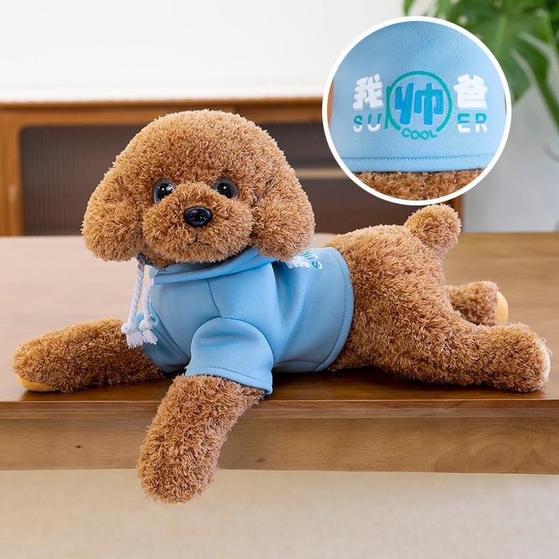 Teddy Hoodie Dog Plush Toy Cute Cartoon Collar Animal Doll Girl Birthday Gift