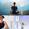 Dreld Angel Tuning Fork Set (4096Hz, 4160 Hz, 4225 Hz) with Silicone Hammer and Soft Storage Bag, Silver