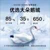 2025 Winter Men's Thin Collar Down Jacket with Detachable Goose Down Inner Container
