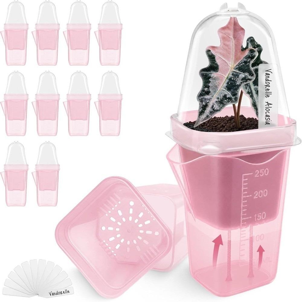 Plastic Self-Watering Flower Pots Root View Nursery Pots New Hydroponic Planters Succulent Growing