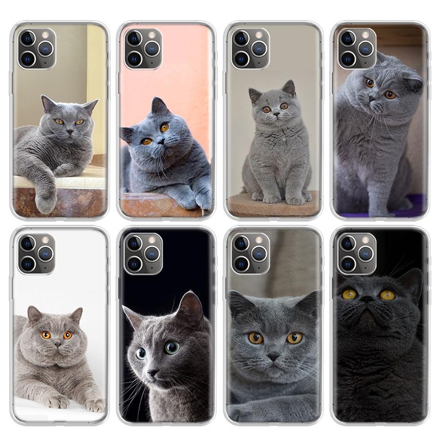 British Shorthair Cat Phone Case For iPhone 17 Air 11 13 Mini 14 15 Plus 16 12 Pro Max 16E SE 7 8 Pattern Soft TPU Back Cover 1