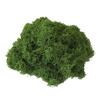 100/150/200/500/1000 г Искусственный зеленый мох DIY поделки Сказочные сады Центральные элементы стола