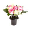 2/4Pcs Grave Flower Holder with Lid Memorial Vases Plastic Grave Flower Pots Insert Grave Vase for Grave Decorations
