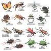Simulation Of 16 Insects, Animal Models, Butterflies, Beetles, Spiders, Ants, Dragonflies, Cockroaches, Oxen Shields, Bugs, Static Ornaments