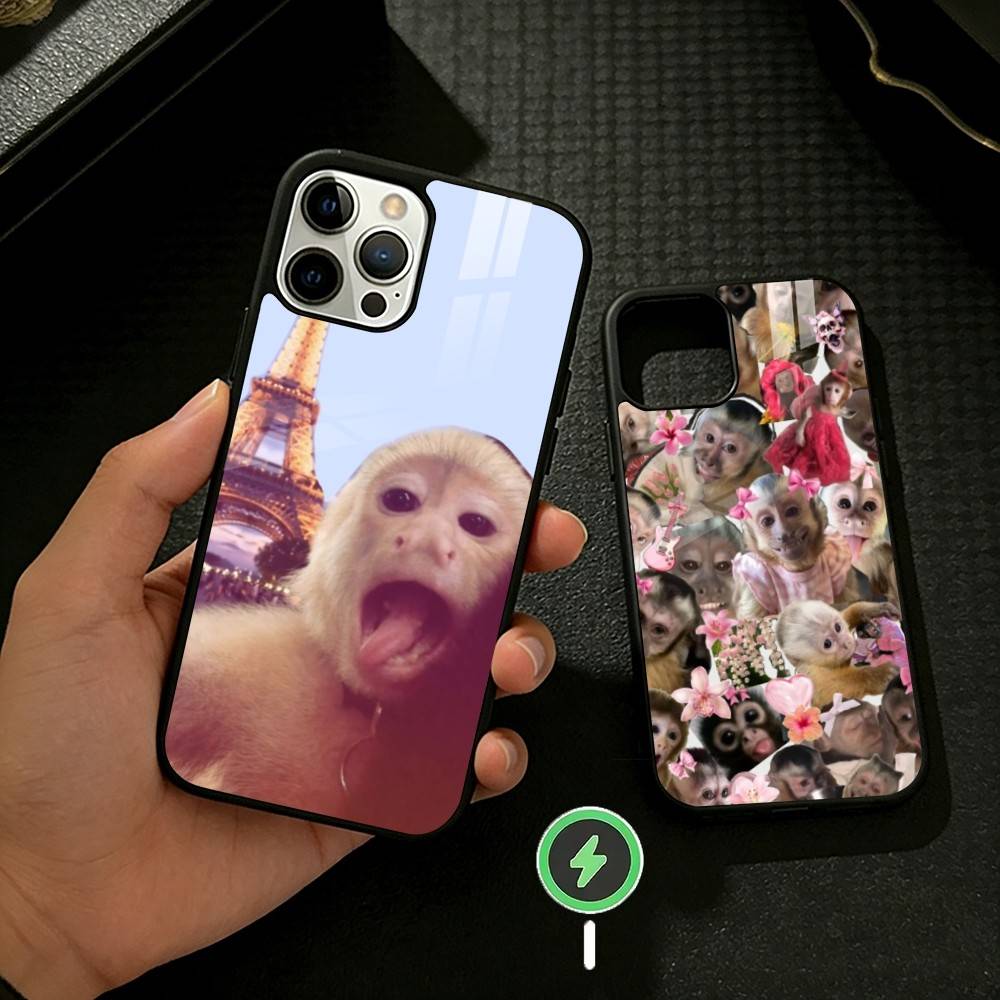 Monkey abstract Funny Phone Case For iPhone 17/16/15/14/13/12/Plus/Pro/Max for Magnetic Wireless Charging