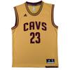 X NBA Collaboration Cleveland Cavaliers Int Replica Jrs LeBron James Round Neck Fashion Soft Comfortable Sleeveless Basketball Jersey A61198