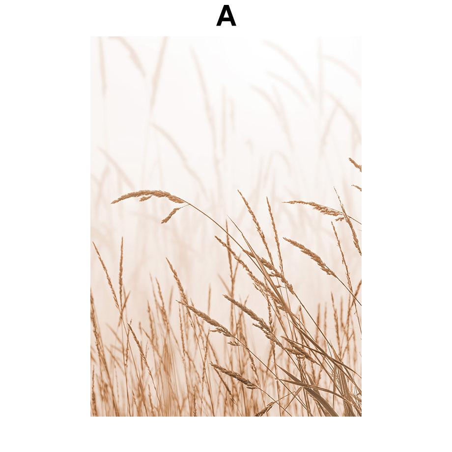 Бежевый пальмовый лист, жгучий цветок, тростник, постеры и принты, холст, живопись, скандинавские настенные художественные картины, гостиная, домашний декор