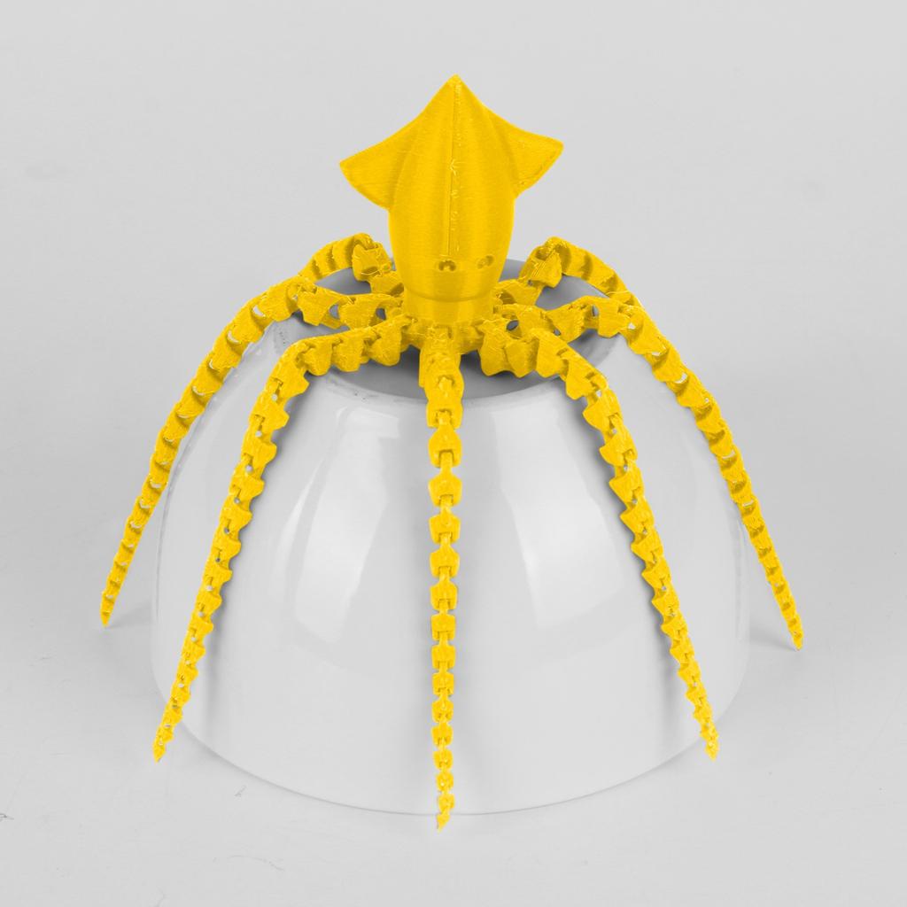 3D Printing Cuttlefish 3D Printing Articulated Cuttlefish Toy Adult Children's Toy Mysterious Cuttlefish Toy