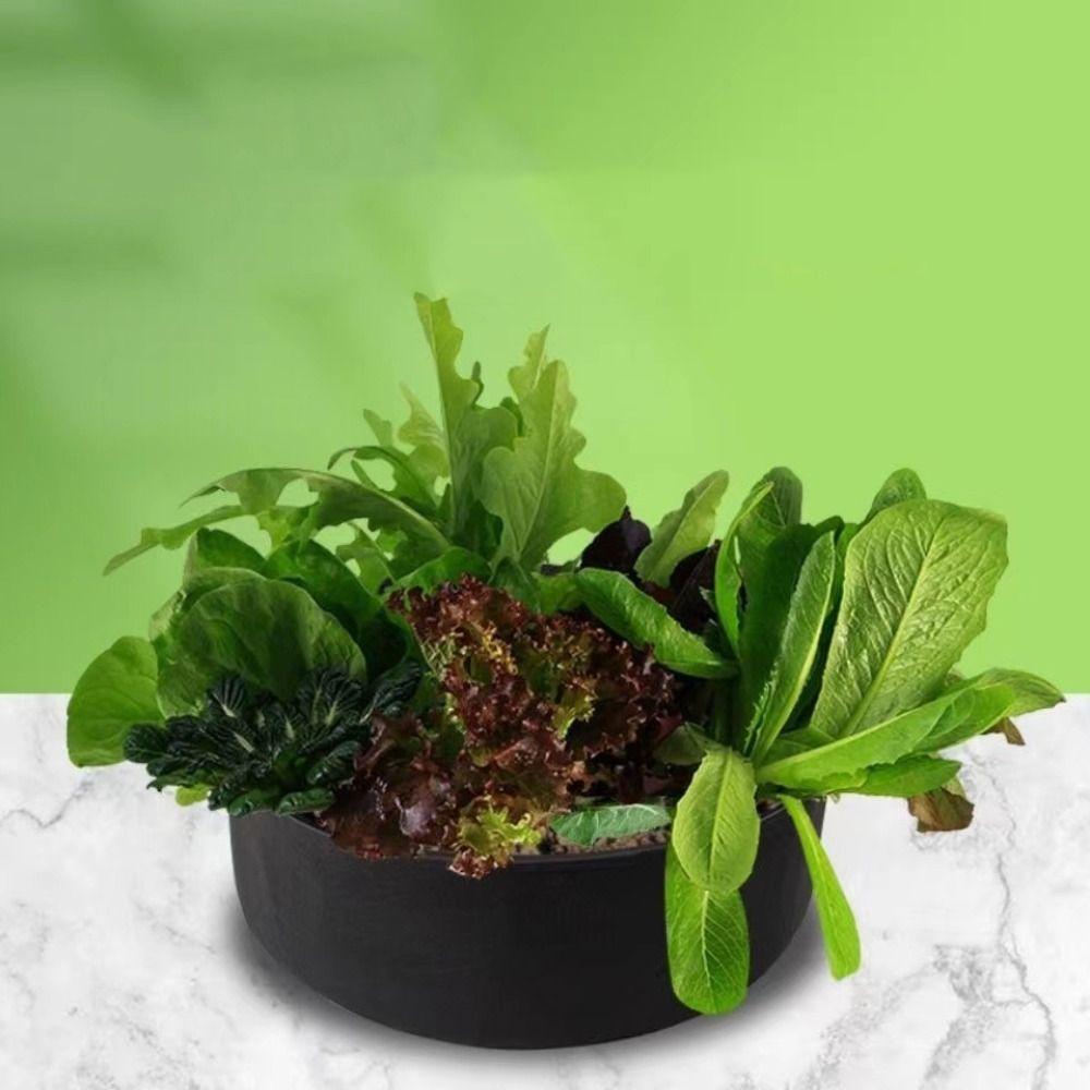 Round Planting Bucket Felt Planting Bag Gardening Supplies Growth Bag Pot and Planting