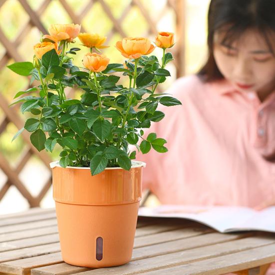 Горшок для растений Привлекательный термостойкий пластиковый автоматический водопоглощающий горшок для растений с хлопковыми веревками для дома