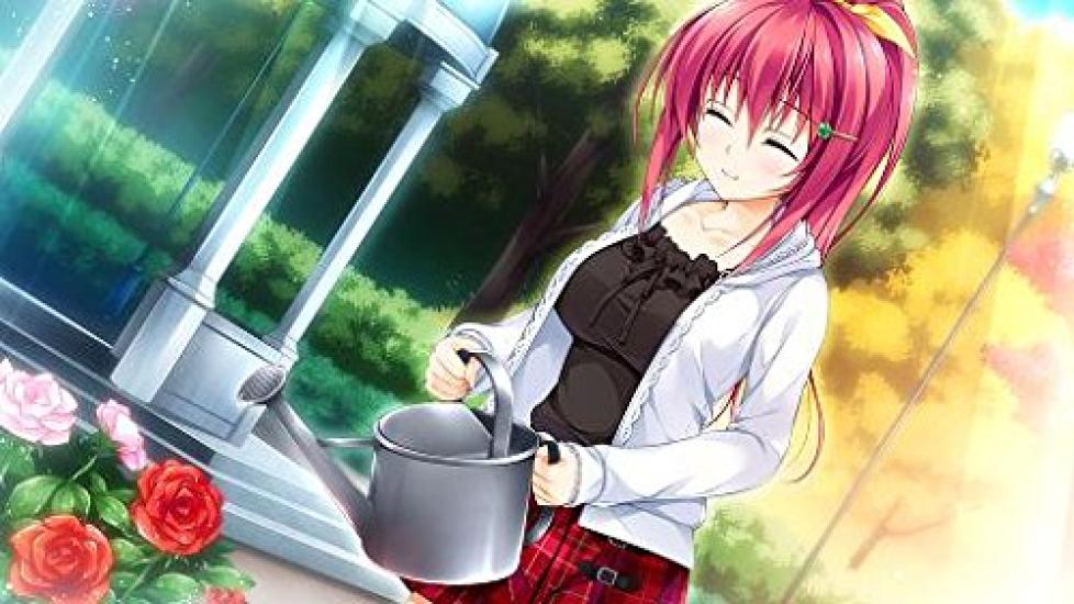 Essence of Love Colored by Maidens First Limited Edition