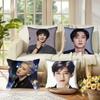 Наволочки чехлы для подушек диваны гостиная декор дома подарки Singer P-arks Chanyeol Корея