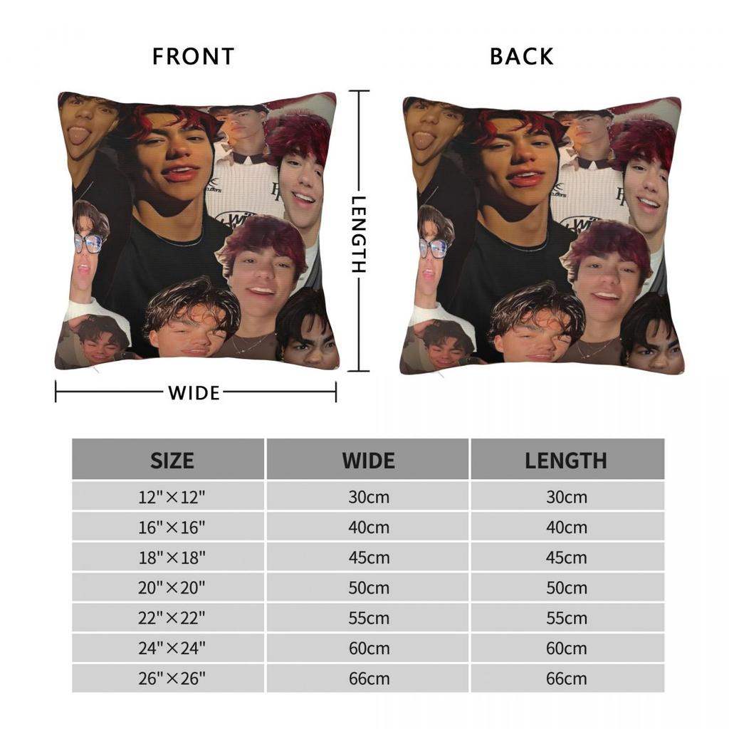 Popular Malachi Barton American Pillow Cover Pillow Case Soft Cushion Cover Pillowcases For Chair Sofa Home Decoration