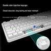 Rapoo V500PRO-87 Upgrade 87-Key Wired Backlit Mechanical Keyboard