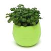 Colourful Mini Round Plastic Plant Flower Pot Garden Home Office Decor Planter MIT