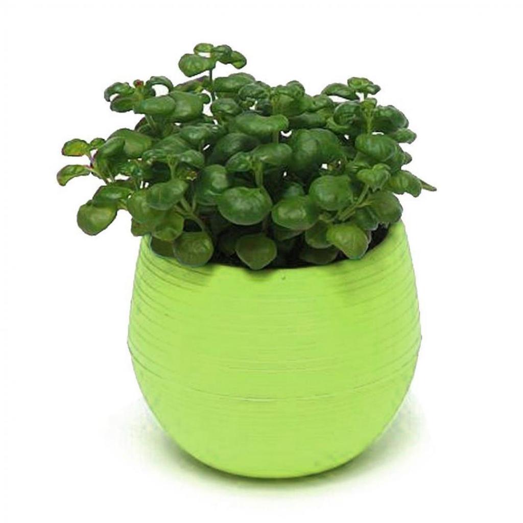 Colourful Mini Round Plastic Plant Flower Pot Garden Home Office Decor Planter MIT